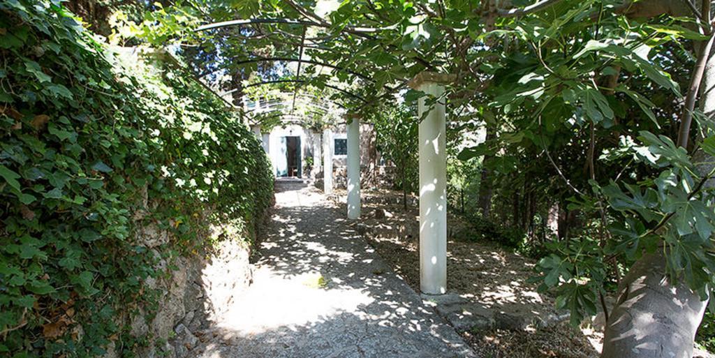 Son Niu Vell - La Hermossa Pension Valldemossa  Buitenkant foto